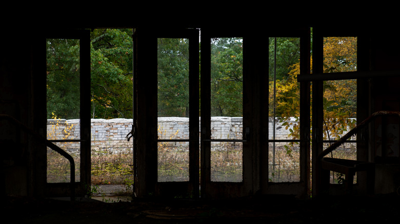 A view from inside the Summit Honeymoon Resort, revealing open doors and a forested backdrop