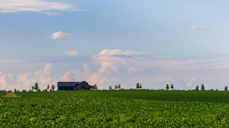 House in rural Nebraska