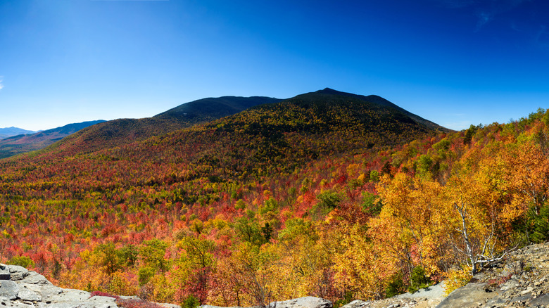 Panoramic view of Whiteface Mountain from Cobble Lookout in New York's Adirondacks
