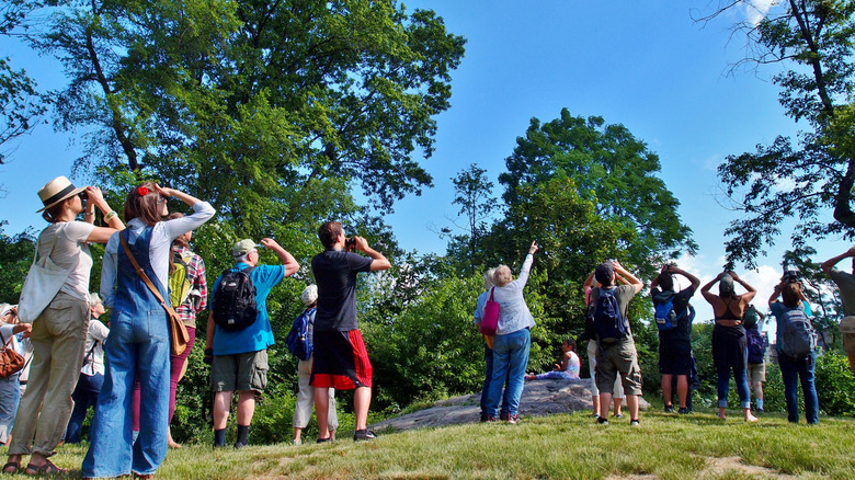 A group of birdwatchers in Central Park, New York