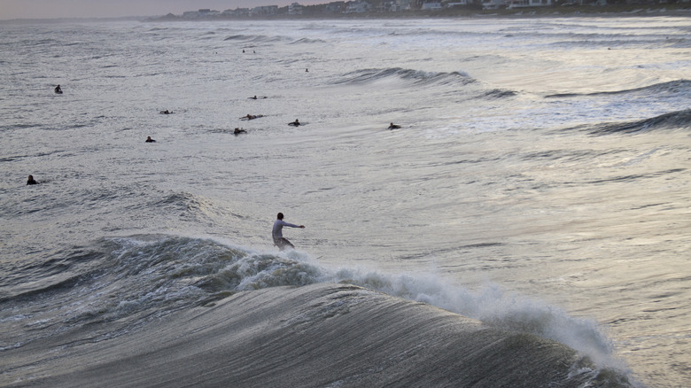 Surfers in the waves at Folly Beach in South Carolina