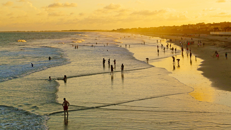 Picturesque sunset on Folly Beach in South Carolina