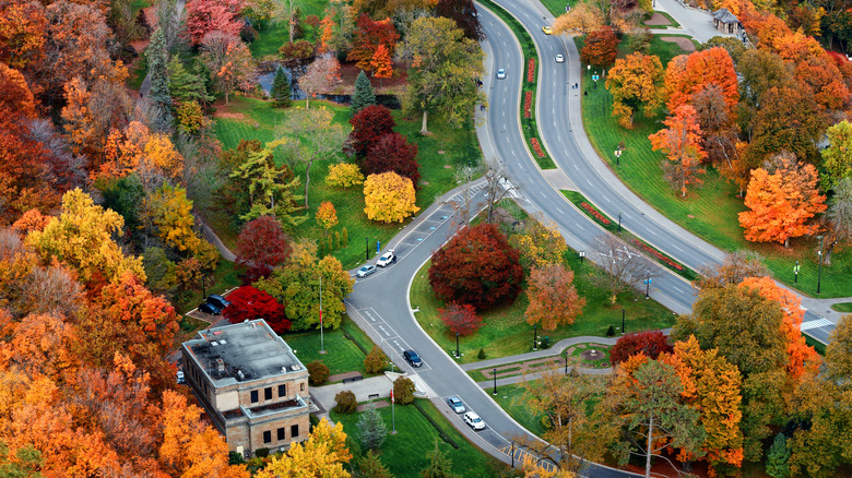 Niagara Parkway with cars amid autumn colors
