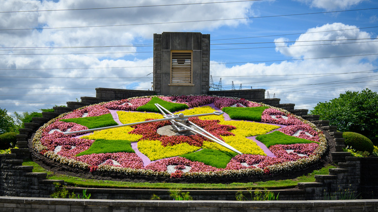 Floral clock with colorful bedding plants