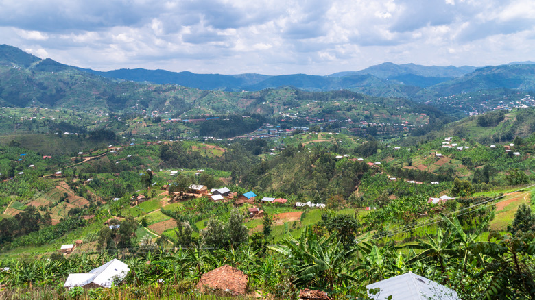 Landscape with hills and agricultural fields in Rwanda