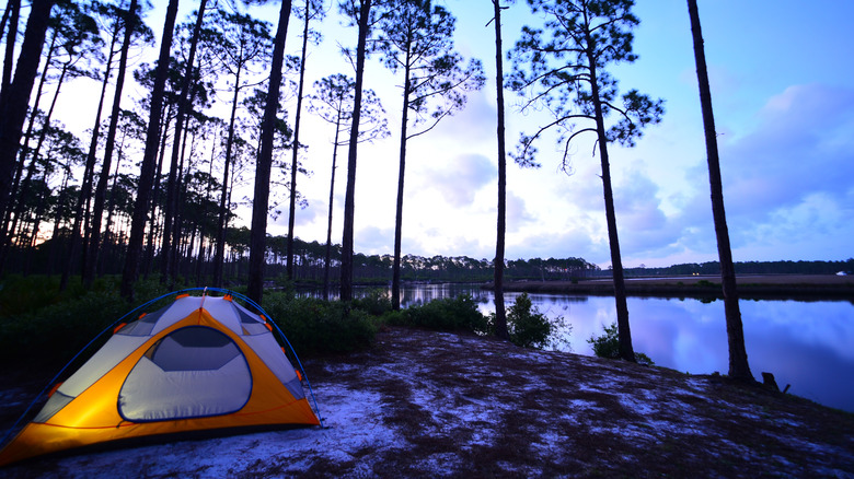 Camping tent near a body of water and trees at dusk, somewhere in Florida.