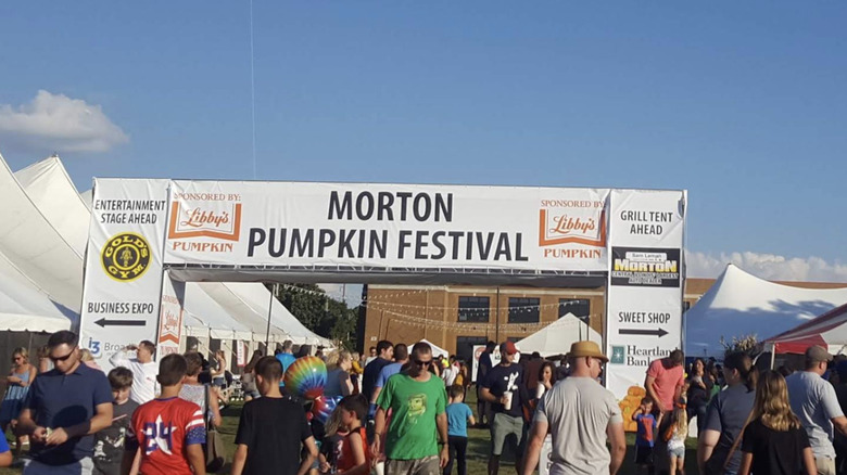 Attendees gather at Morton Pumpkin Festival in Morton, Illinois