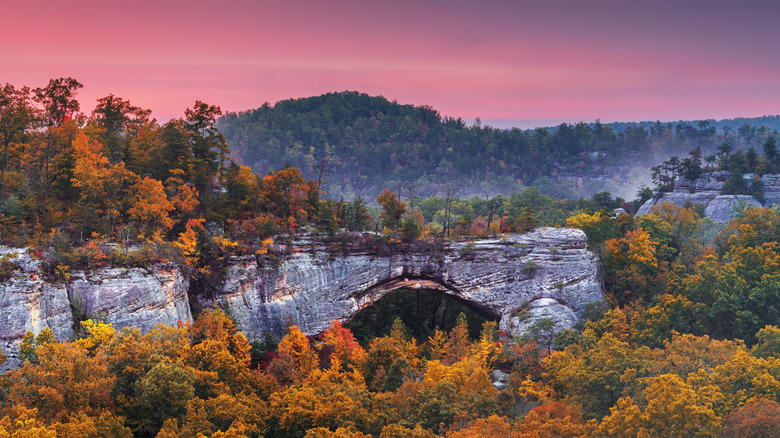 Daniel Boone National Forest, Kentucky