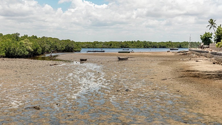 Beach in Lamu