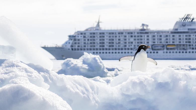 A penguin looks on as a cruise ship sails behind it in Antarctica