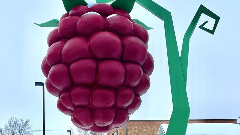 The world's largest raspberry sculpture in Hopkins, Minnesota