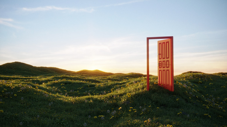 A magical door opening in a pristine field at sunset