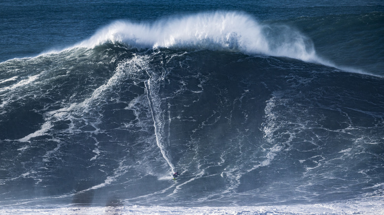 person surfing a giant wave