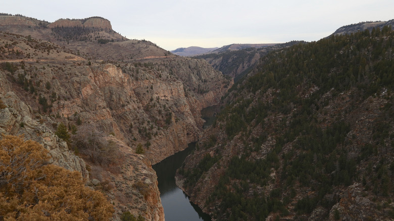 Scenic canyon vista at Curecanti National Recreation Area