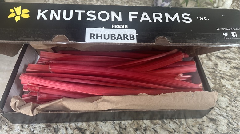 rhubarb stalks wrapped in craft paper in a Knutson Farms box