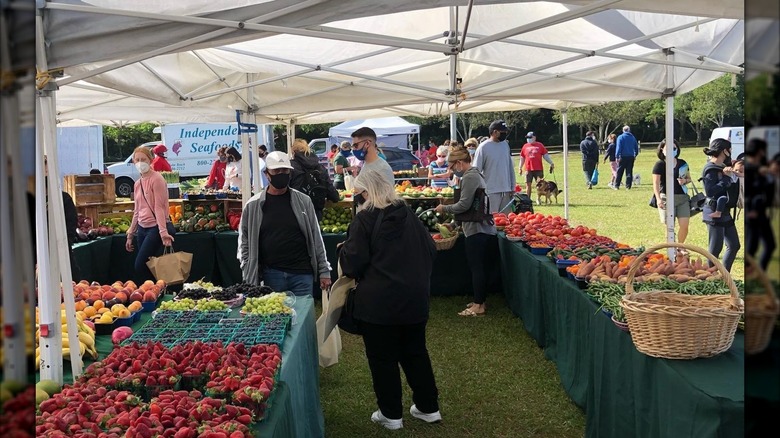 People shopping for produce at an outdoor farmer's market in Parkland, Florida
