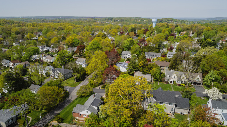 A panoramic view of Scarsdale forested town
