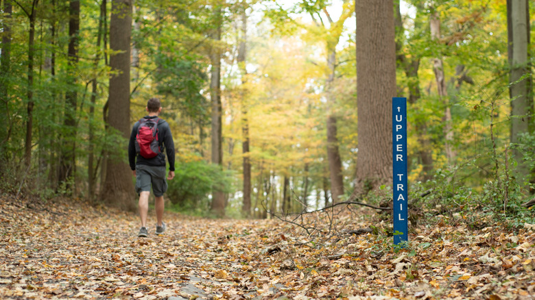 A man hikes a trail in Westchester county