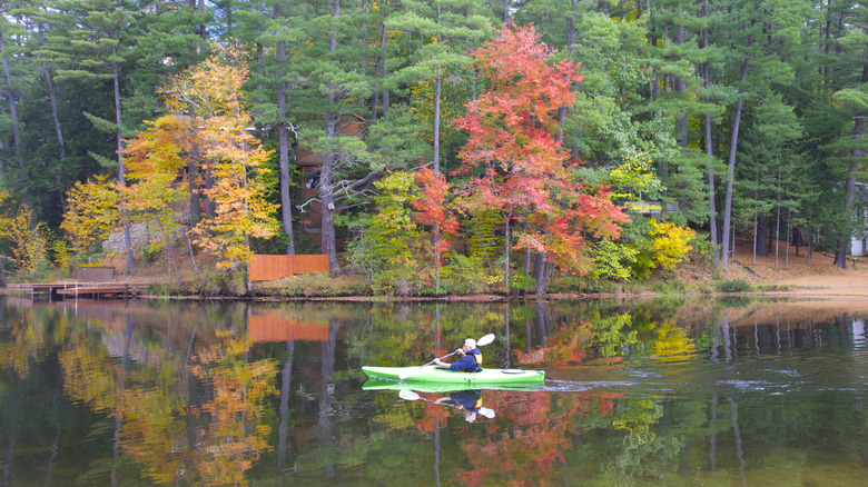 A man kayaking on a lake with fall colors