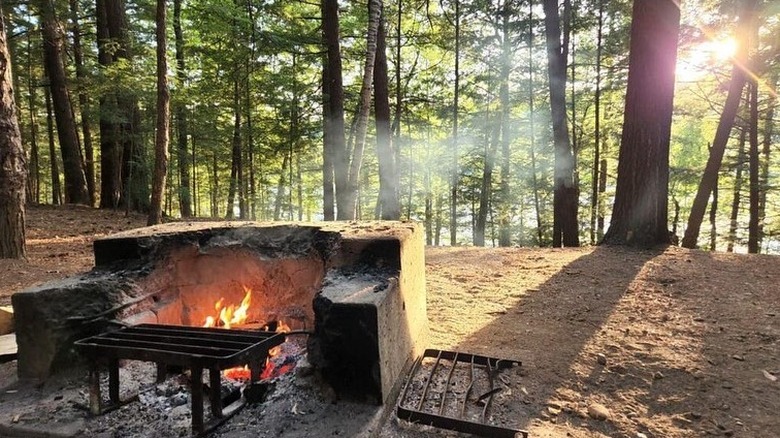 A campfire pit in the woods with sunlight