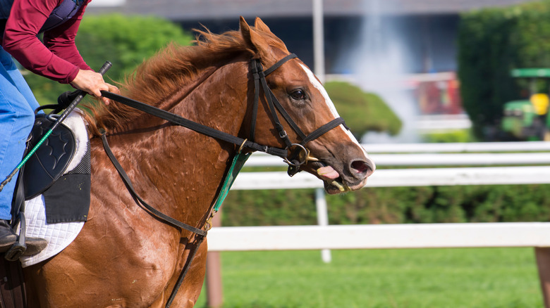Someone racing a horse