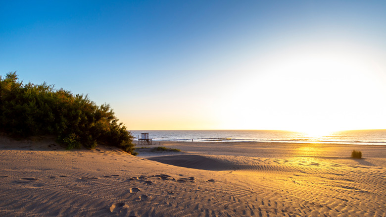 The sun rising over a beach in Argentina