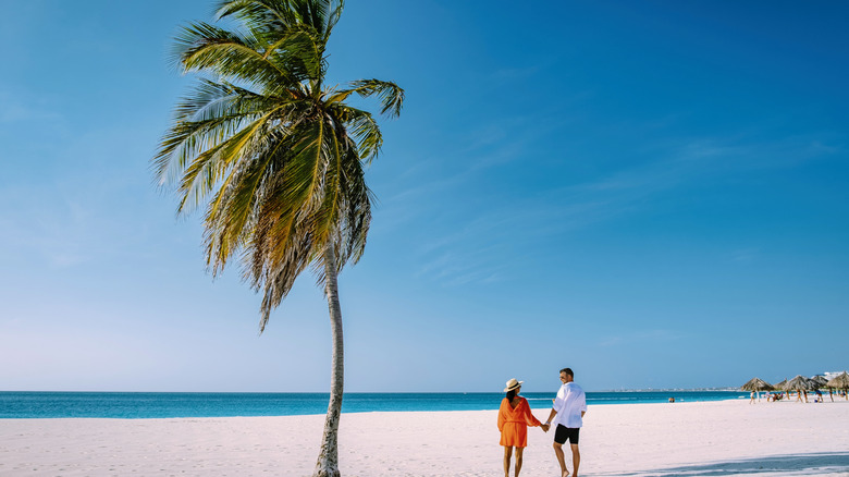 A couple stands on Aruba's Eagle Beach beside a palm tree