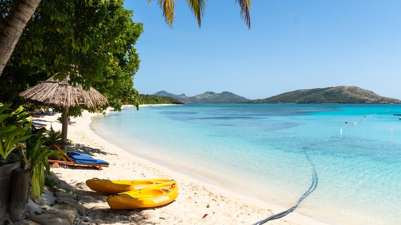 A beach with yellow boats parked on the sand in Fiji