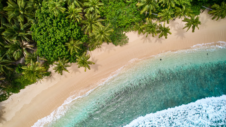 Aerial shot of Fiji beach with the surf coming in