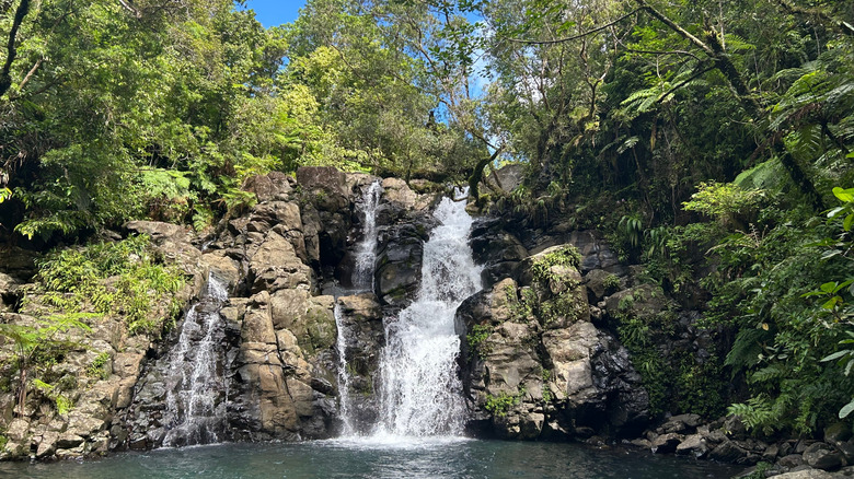 Waterfall on Taveuni island in Fiji