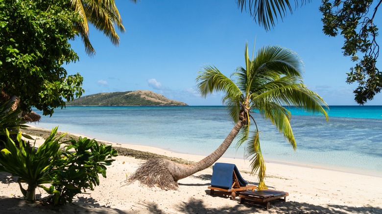 Beach with a palm tree on one of the Yasawa Islands in Fiji