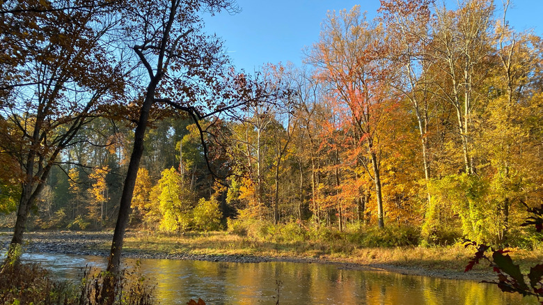 Cuyahoga Valley National Park during Fall
