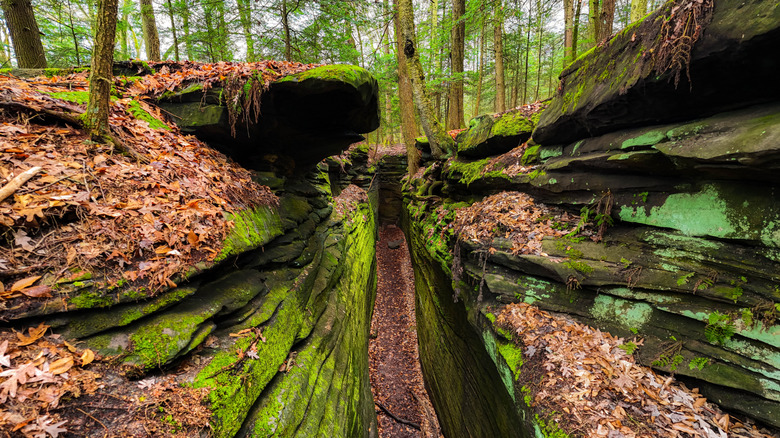 Ledges Trail, Cuyahoga Valley National Park
