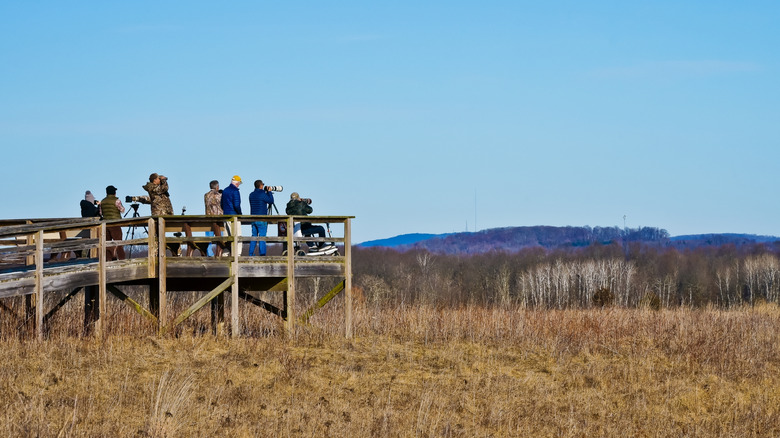 Photographers on the observation deck at Shawangunk Grasslands National Wildlife Refuge