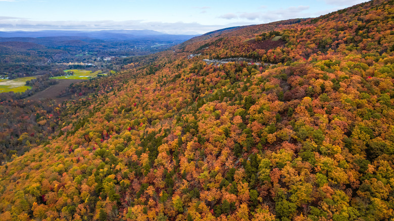 An aerial view of the Showangunk Mountains in autumn, covered in fall foliage