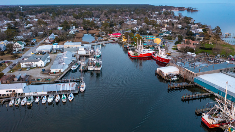 Boats in a marina with a small town in the background