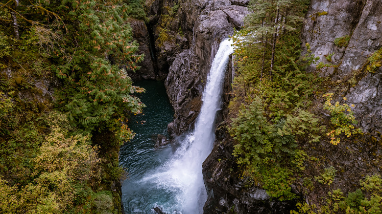 A tall waterfall cascades over a cliff surrounded by green trees at Elk Falls Provincial Park, in Campbell River, Vancouver Islands, British Columbia.