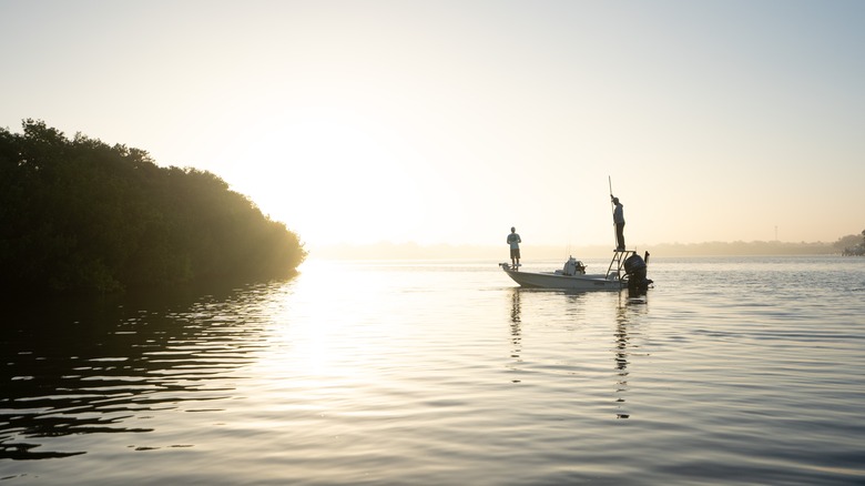 Searching for redfish in the shallows