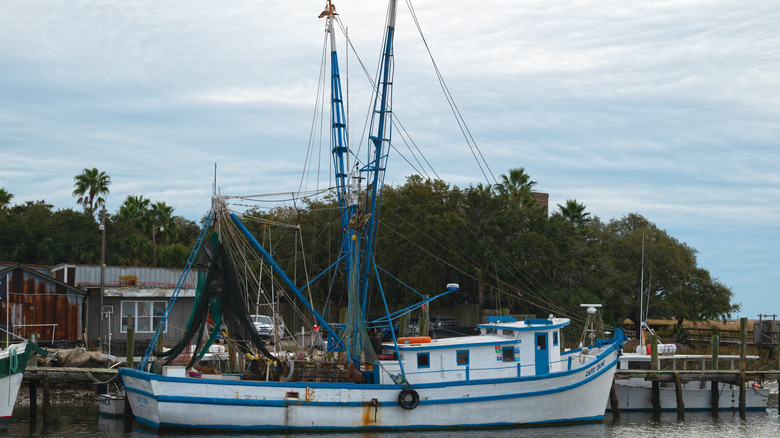 A fishing trawler outside of Charleston, South Carolina