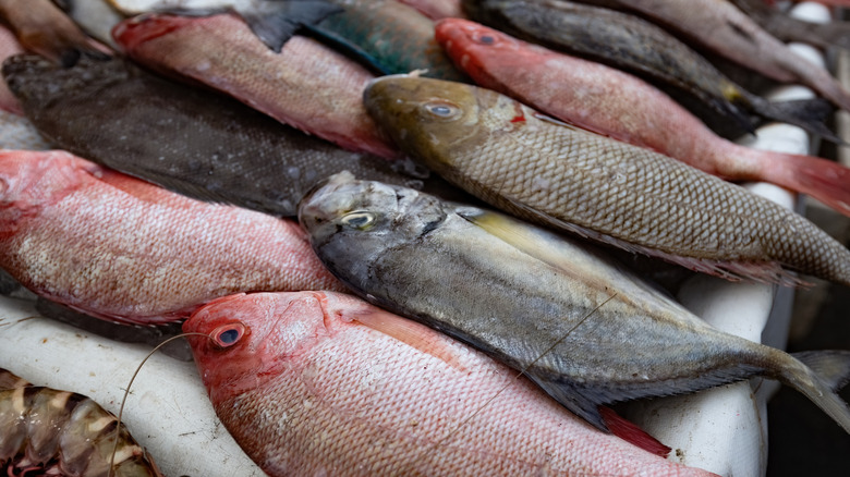 Fish on ice at a fish market