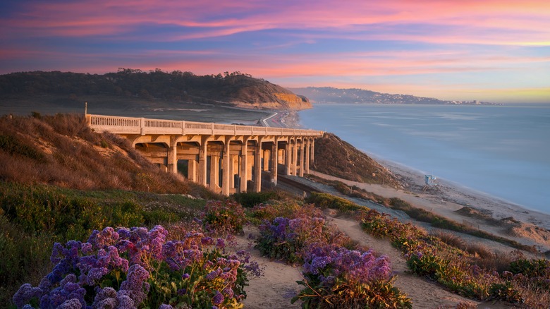 Torrey Pines, California