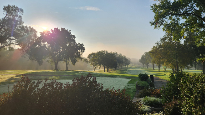 Sunrise at the Williams Golf course, with rows of trees on grassy hills under a blue sky