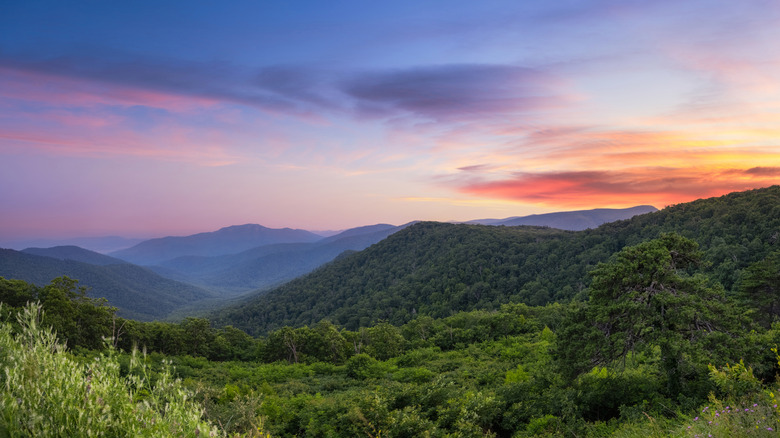Sunset over lush mountain ridges at Shenandoah National Park.