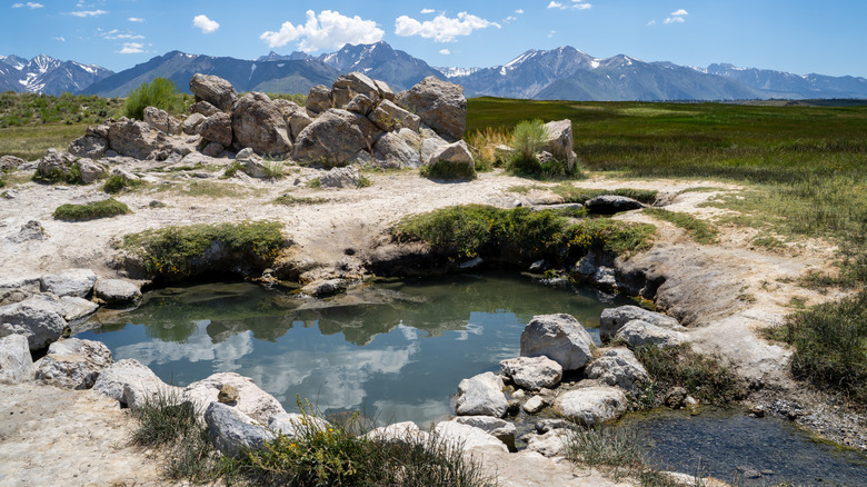 The heart-shaped pool of Wild Willy's Hot Springs