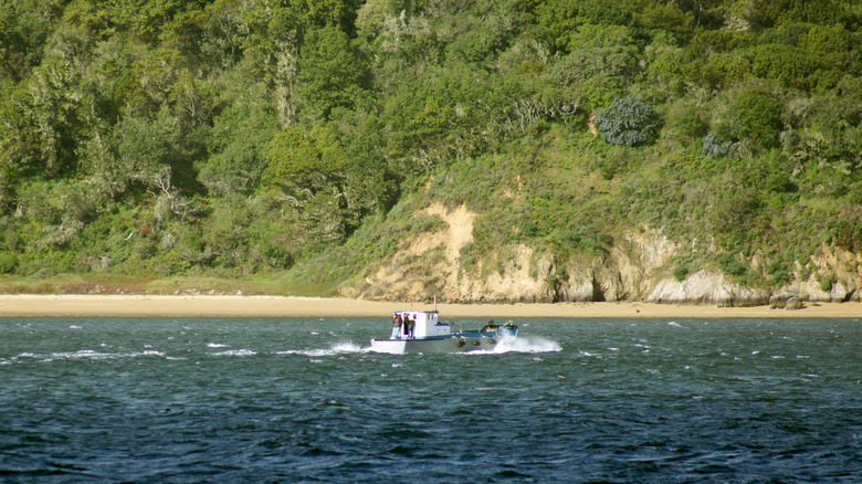 Boat by the shore of Tomales Bay, California