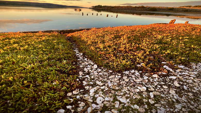 Sunset at Tomales Bay, Point Reyes National Park in California