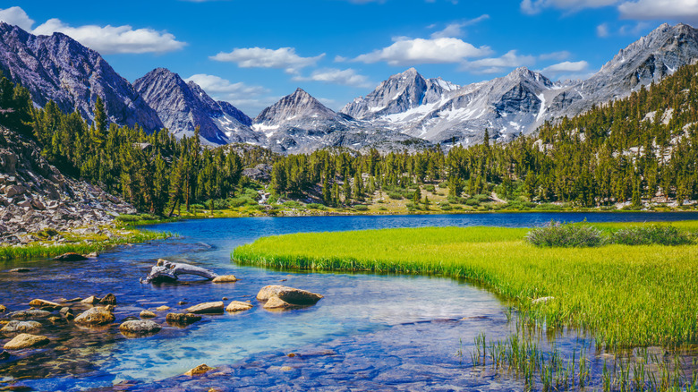 Rock Creek heading into Little Lakes Basin in northern California's High Sierra