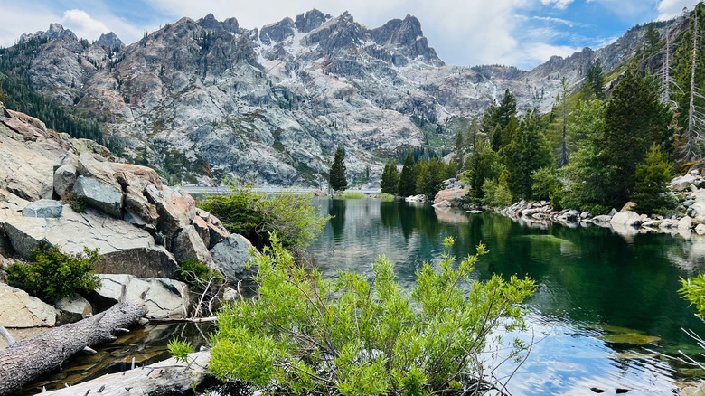 View of Upper Sardine Lake and craggy cliffs behind it plus evergreens in the foreground