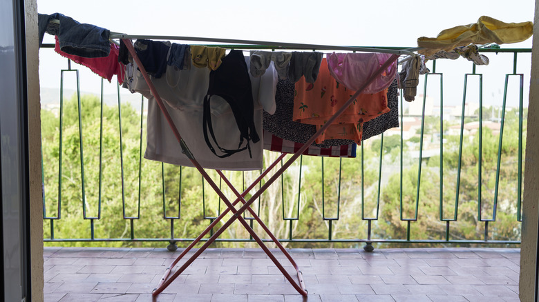 Several articles of clothing line-drying on a balcony overlooking a green park