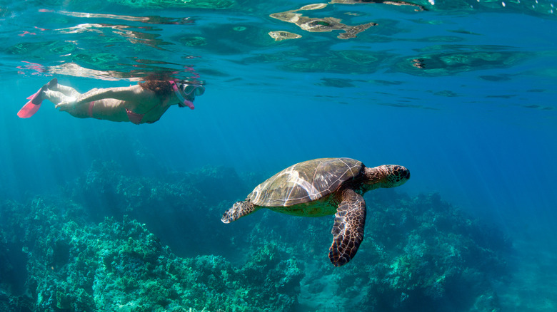 woman snorkeling in wailea